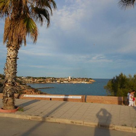 Apartment Asequin Beach Torrevieja Rum bild