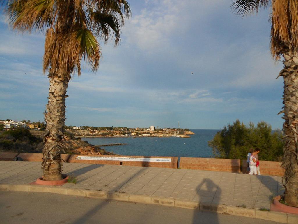 Apartment Asequin Beach Torrevieja Rum bild